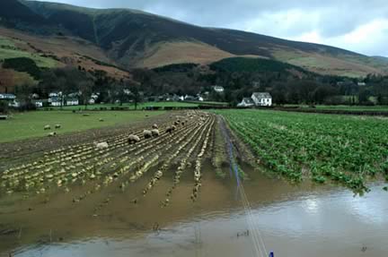 Farm Images
